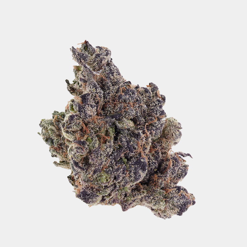 Top shelf Acaiberry Gelato THCa flower, showcasing frosty, high trichrome buds with green and purple tones, fruity and berry aroma